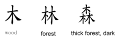 <p>a symbol in a writing system that represents a thing or an idea</p>