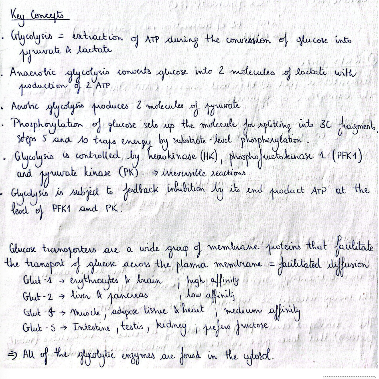 knowt flashcard image