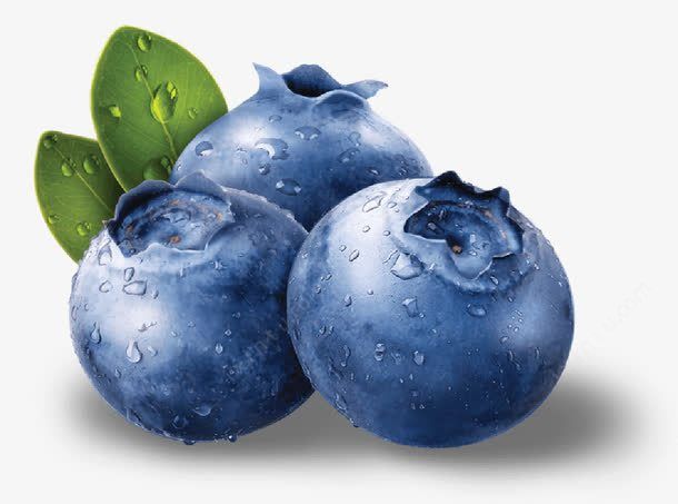 <p>蓝莓</p>