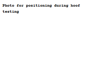 <p>Hoof Tester Application &amp; Percussion</p>