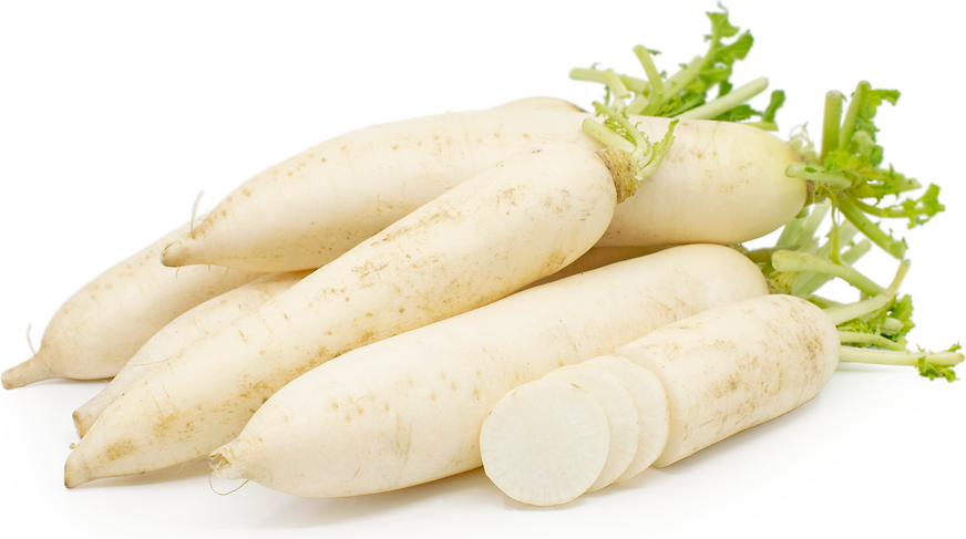 <p>What kind of USO is a Daikon?</p>