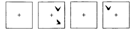 <ul><li><p>2 stimuli presented, followed by probe</p></li><li><p><span>Decide if probe in (i) same <strong>location</strong> (spatial), or (ii) same <strong>form</strong> (visual) as one of the presented stimuli</span></p></li></ul><p> </p><ul><li><p><span>Stimuli identical in both tasks</span></p></li><li><p><span>But different brain activity (PET)</span></p><ol type="1"><li><p><span>Right hemisphere = spatial task</span></p></li><li><p><span>Left hemisphere = visual task</span></p></li></ol></li></ul><p>-> Suggests there are two <span><strong>separate</strong></span> systems processing visual and spatial inputs</p>