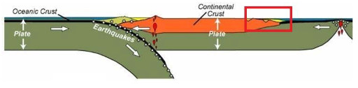 <p><span>The area highlighted by the red box in the figure above is a representation of which of the following </span><strong>tectonic settings</strong><span>?</span></p>