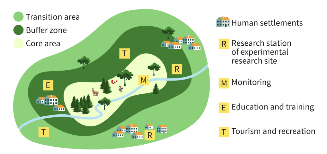 <p>Designing protected areas</p>