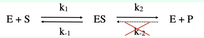 <p>Measurements are taken under <strong>initial velocity conditions</strong>, where:</p><ul><li><p><strong>[P] ≈ 0</strong> (no product has accumulated yet)</p></li><li><p>The reverse reaction (<strong>E + P → ES</strong>) is negligible</p></li><li><p>Therefore, ES proceeds forward to form product</p></li></ul><p></p>