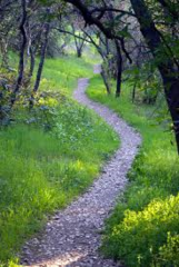 <p>ruta para caminar, trotar o correr en la naturaleza</p>