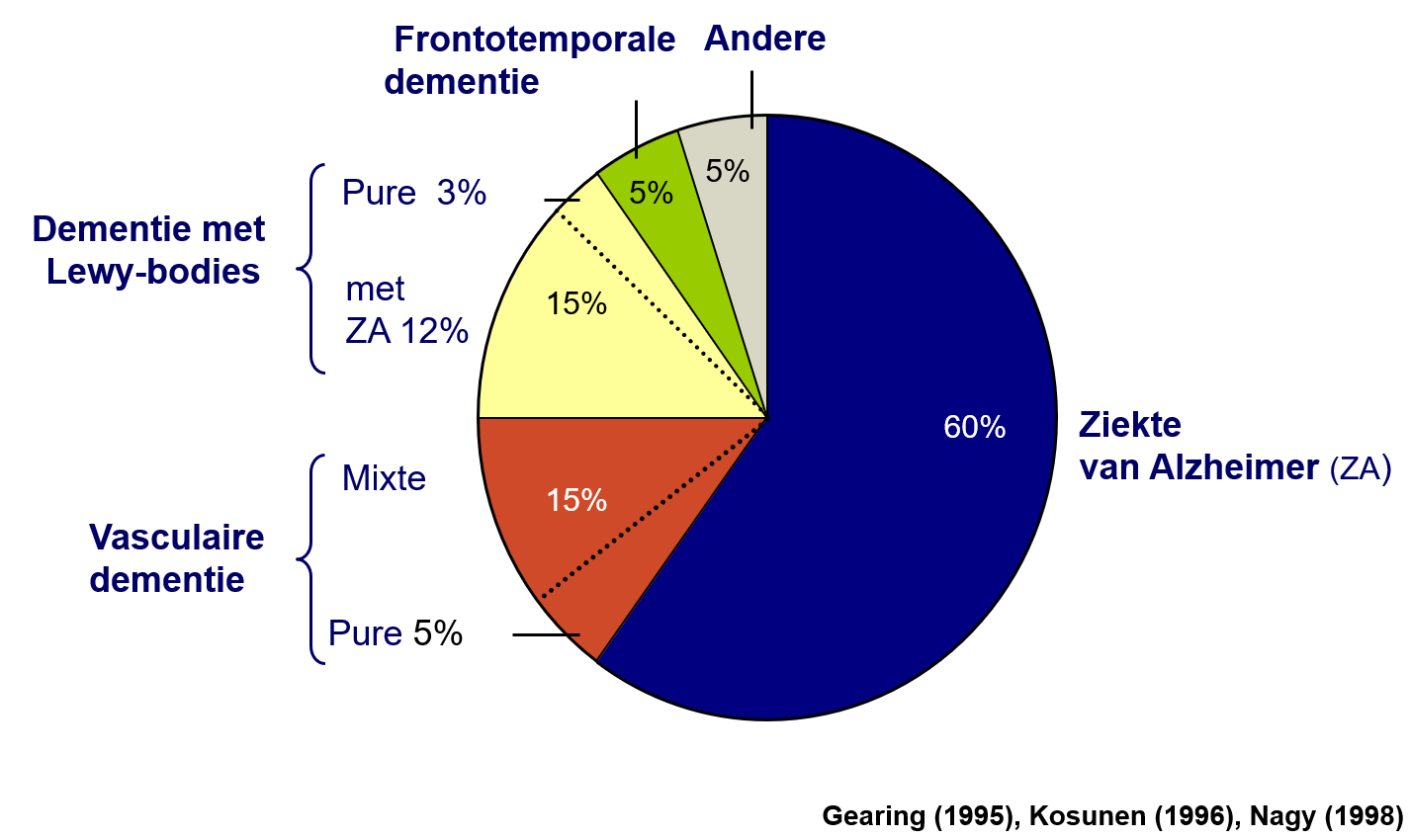 <p>Alzheimer > vasculaire dementie > Lewy body dementie > frontotemporale dementie</p><p>Veel dementies vaak gepaard met Alzheimer (zie foto)</p>