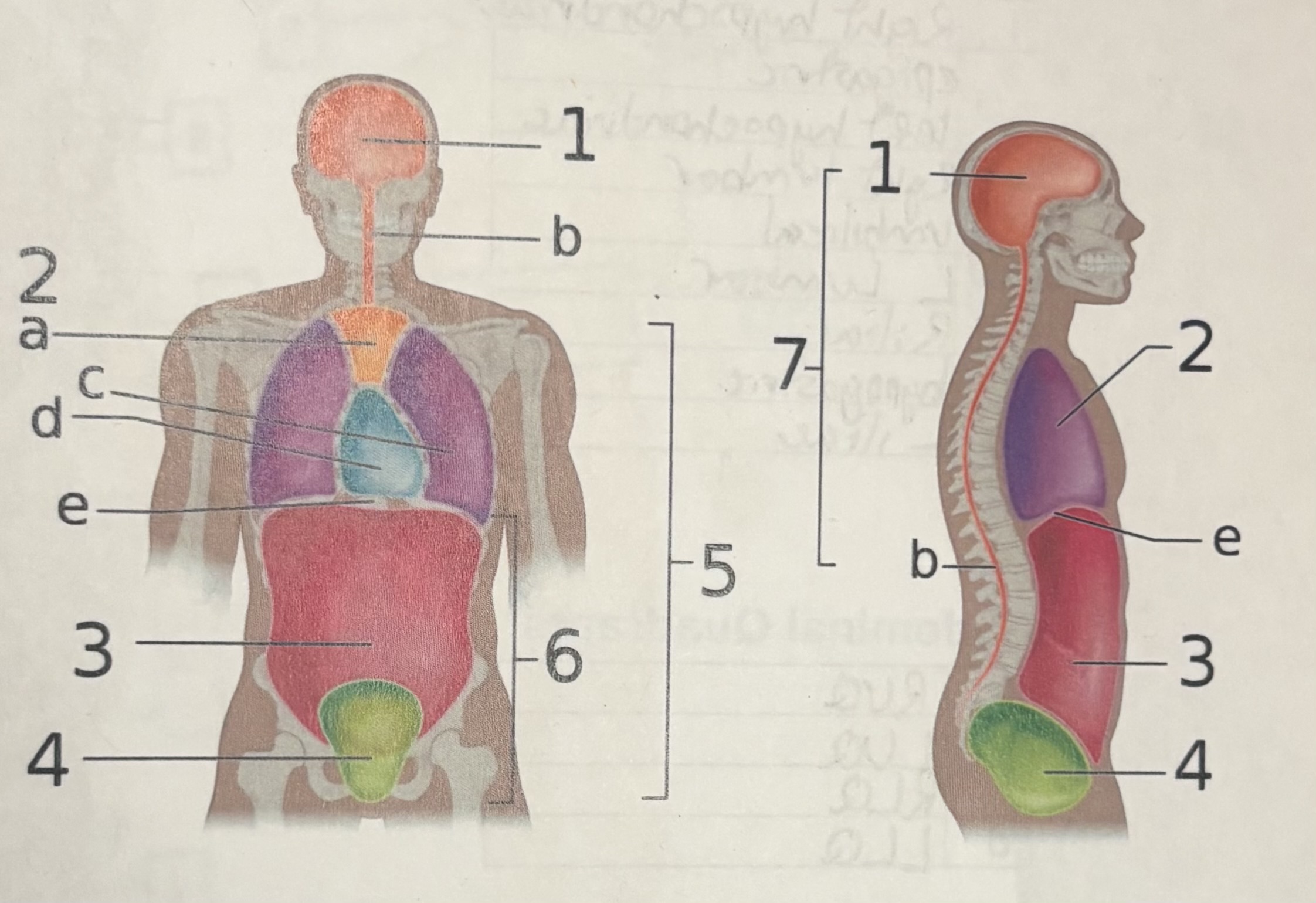 <p>What is e?</p>