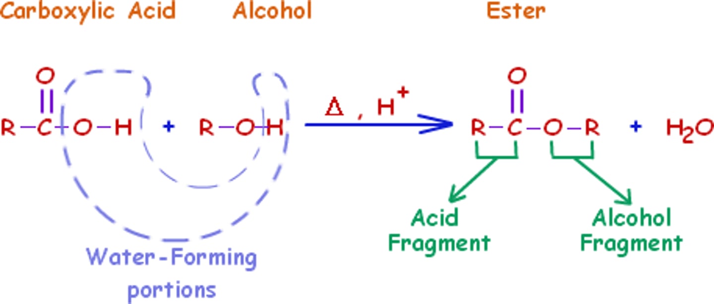 <p>Reaction type:</p><p>Carboxylic acid + Alcohol → Ester + water</p>