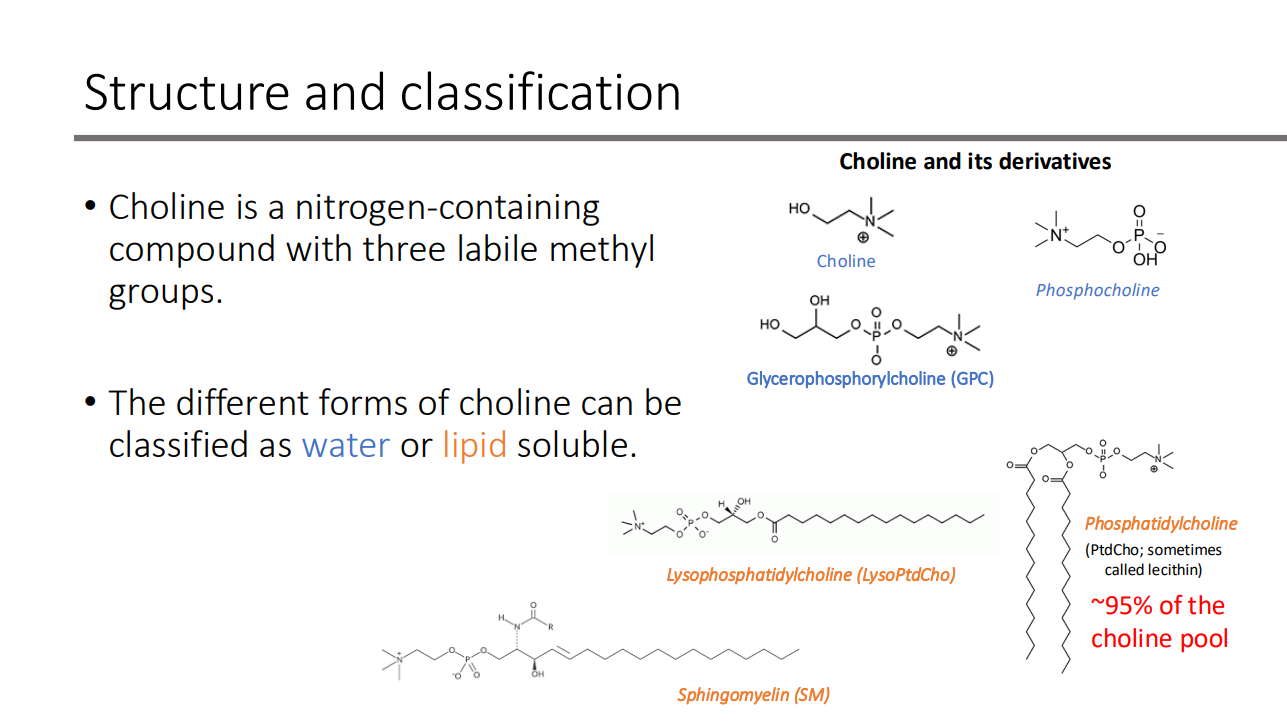 <p>water or lipid soluble</p>