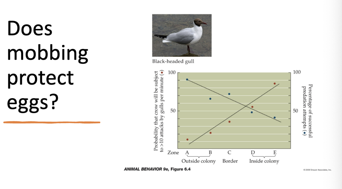 <p>be able to explain this </p>