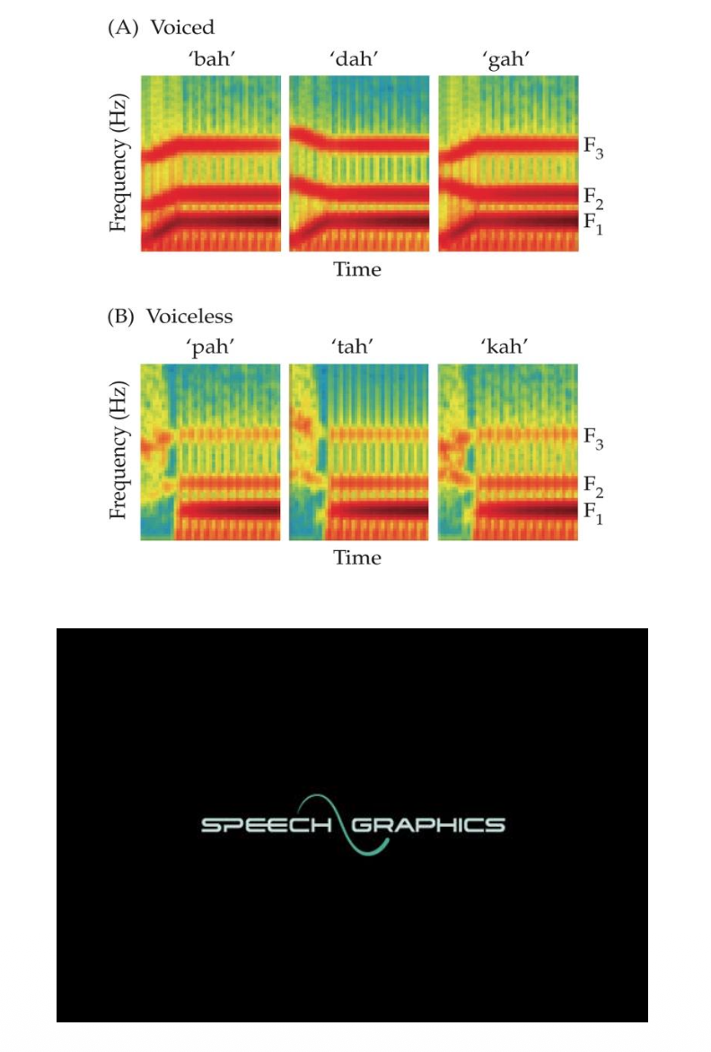 <p><u>Speech Production: Formants Transitions &amp; Consonants</u></p><p class="p2">Formant Transitions are __.</p><p class="p2">• Crucial for __ (e.g., “b” in bat vs. “d” in dot).</p><p class="p2">Consonants obstruct ? and are classified by: (list 3)</p>