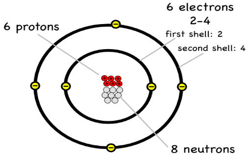 <ul><li><p>6 protons, 6 neutrons</p></li><li><p>8 Neutrons</p></li></ul><p></p>