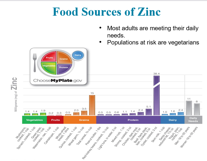 <p>What is Zinc?</p>