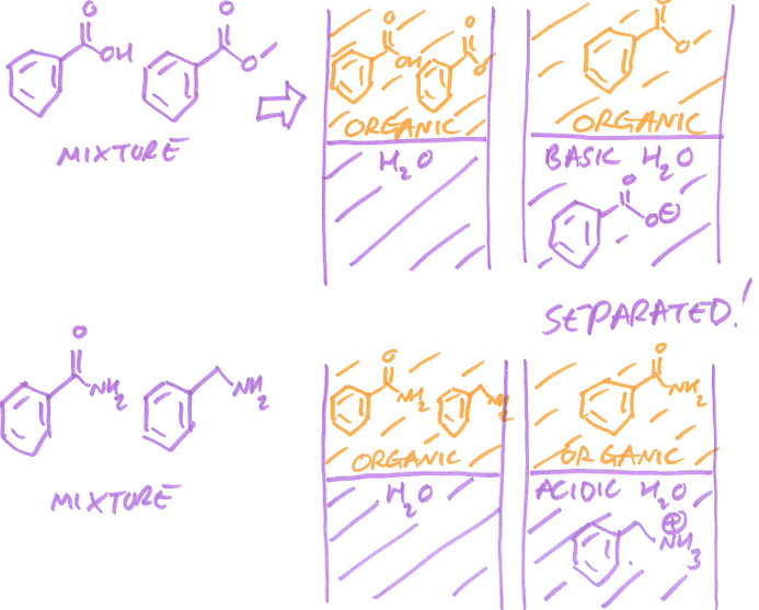 <ul><li><p>organic solvents are either non-halogenated or halogenated- depends on density </p></li><li><p>non halogenated < aqueous < halogenated </p></li><li><p>non halogenated solvent are the least dense whilst halogenated are most dense </p></li></ul><p></p>