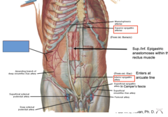 <p>What is shown at the blue box?</p>