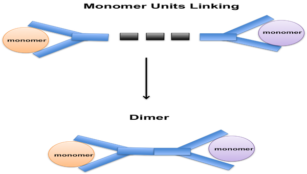 <p>Dimers</p>