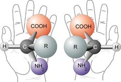 <p>is bonded to four different chemical groups</p>