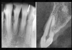 <p>What are these examples of?</p>