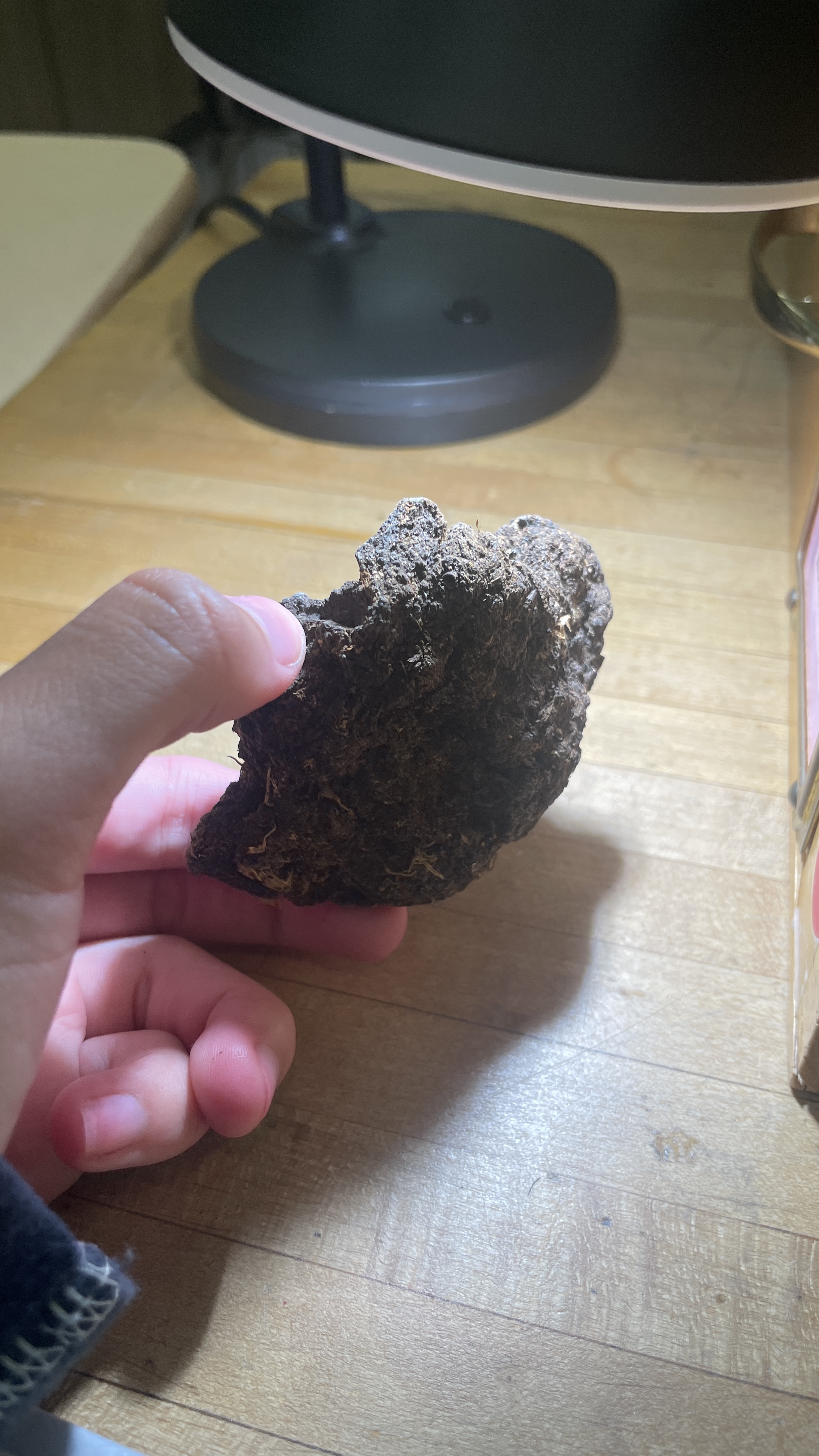 <p>Coal + Peat</p>