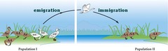 <p>Movement of individuals out of an area</p>