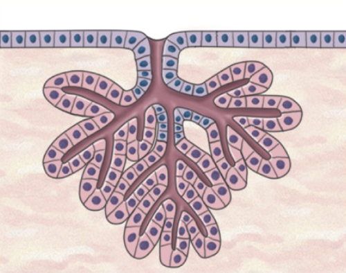 <p>What is this?</p>