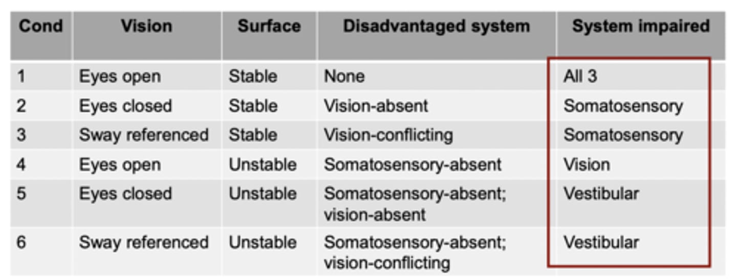 <p>All 3 systems</p>