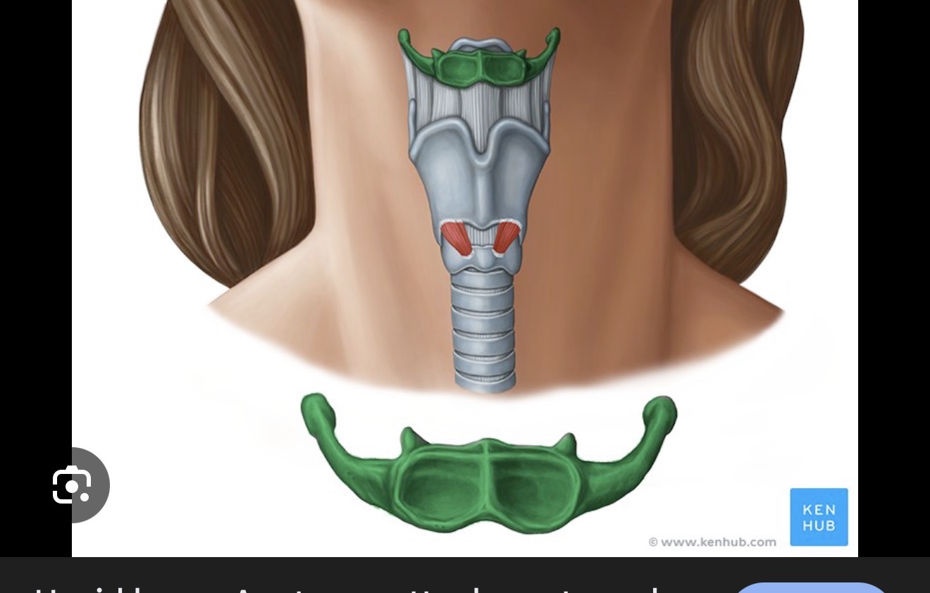 <p>what is this?</p>