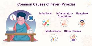 <p>An abnormally high body temperature — in simple words, fever.</p>