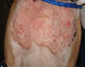 <p>what is this?</p>