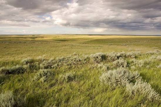 <p>Viewed as the <strong>"Great American Desert"</strong>—an uninhabitable, barren wasteland unsuitable for European-style agriculture or permanent settlement.</p>