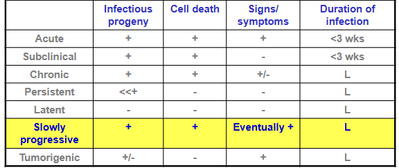 <ul><li><p><span style="background-color: transparent;"><strong>Many years to manifest</strong></span></p></li><li><p><span style="background-color: transparent;"><strong>2 categories – viral and prion diseases</strong></span></p></li><li><p><span style="background-color: transparent;"><strong>Viral diseases are divided into those that <u>make infectious progeny (e.g. HIV-1)</u> or <u>whose genomes are defective ( e.g. measles virus causing subacute sclerosis)</u></strong></span></p></li></ul><p></p><p>infectious progeny: + (virus produces infectious particles)</p><p>cell death: + (infected cells die)</p><p>signs/symptoms: eventually + (symptoms are slowly present)</p><p>duration of infection: long lasting</p>
