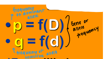 <p><strong><em>Nomenclature </em></strong></p><ul><li><p>__ = <span style="color: blue;"><strong>f(D)</strong></span> → frequency of <strong>dominant allele </strong></p></li></ul><p></p>