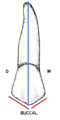 <p>is not</p>
