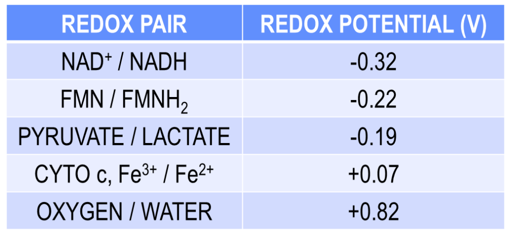 <p>What is Redox Potential?</p>