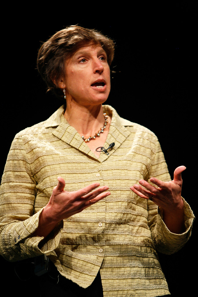<p>a person who offers an argument in defence of something controversial.</p>