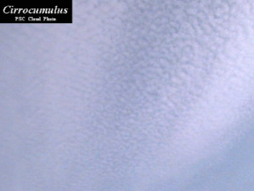 <ul><li><p>high cloud</p></li><li><p>thin, white patches or layers of clouds that appear as small, rounded puffs, grains, or ripples in regular patterns</p></li></ul><p></p>