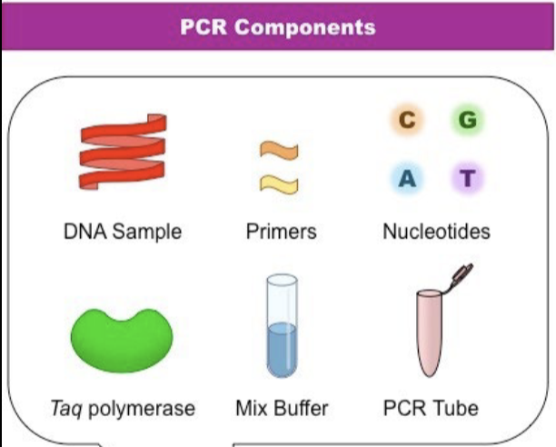 <p>T/F: molecular amplification (PCR) is a test of diagnosis, not cure</p>