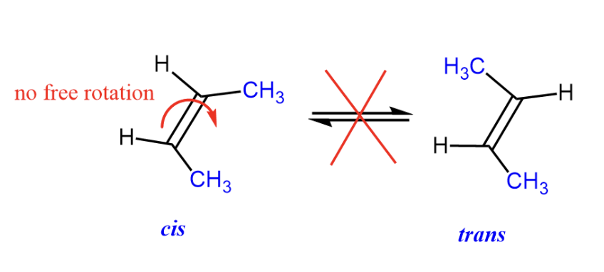 <ul><li><p>molecules that share the exact same chemical formula but feature different 3D shapes</p></li><li><p>occurs in molecules with rigid structures e.g. double bond which prevent rotation</p></li><li><p>requires two non-identical groups attached to each atom in double bond and at least one identical group</p></li></ul><p></p>