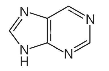 <p></p>