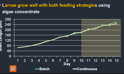<p>What are the two methods of feeding used in oyster hatcheries</p>
