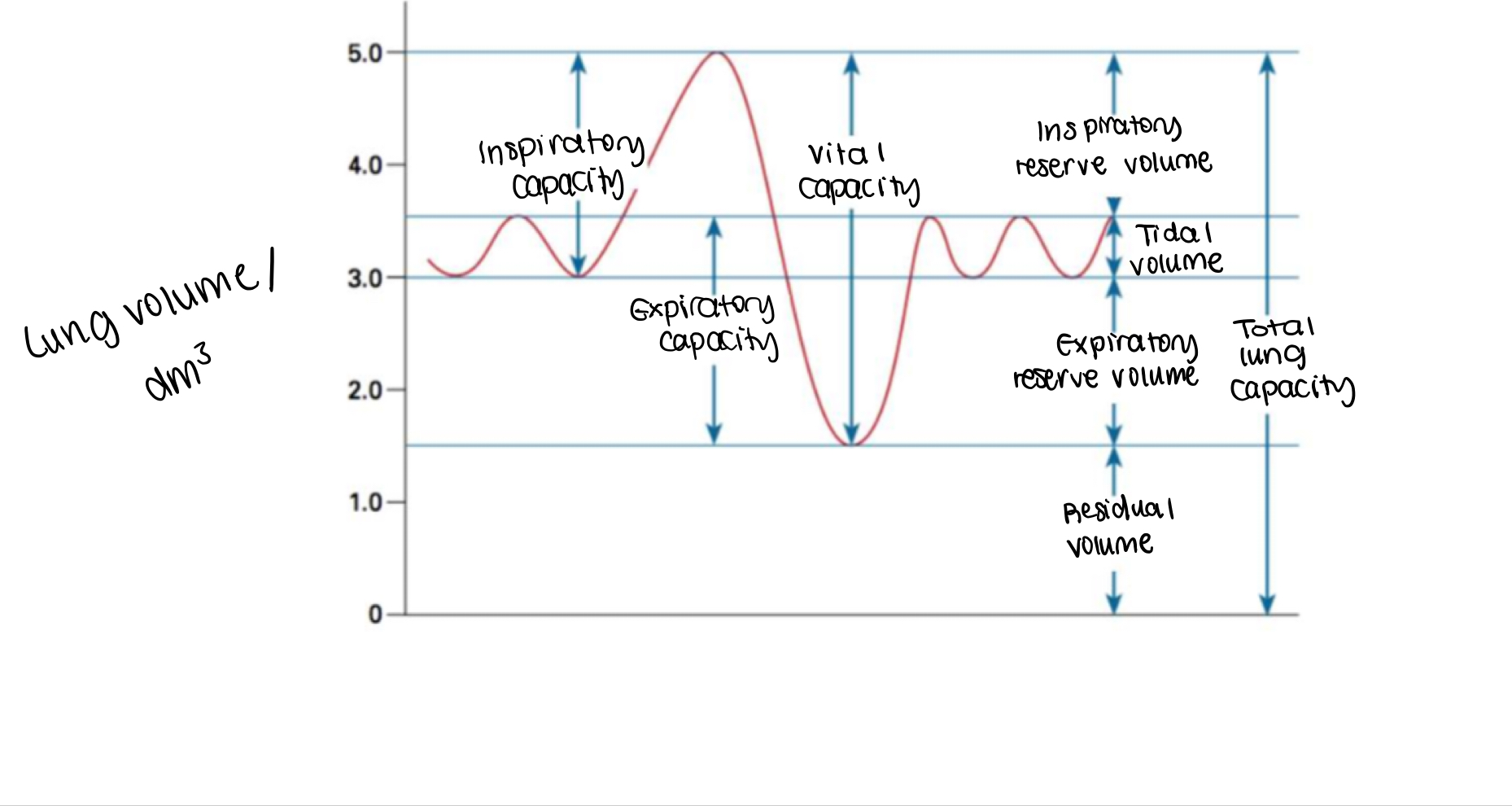 <p>The volume of air moved into or out of the lungs in one breath during normal breathing (dm³ breath^-1)</p>
