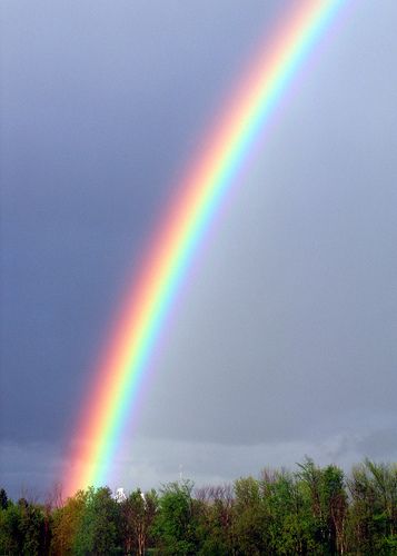 <p>a rainbow</p>
