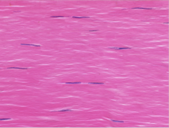 <p>Identify</p>