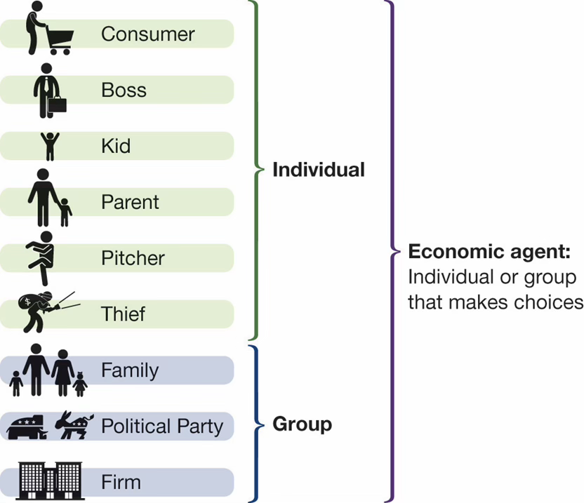 <p>any group/individual that makes choices</p><ul><li><p>consumers, firms, parents, politicians, etc</p></li></ul><p></p>