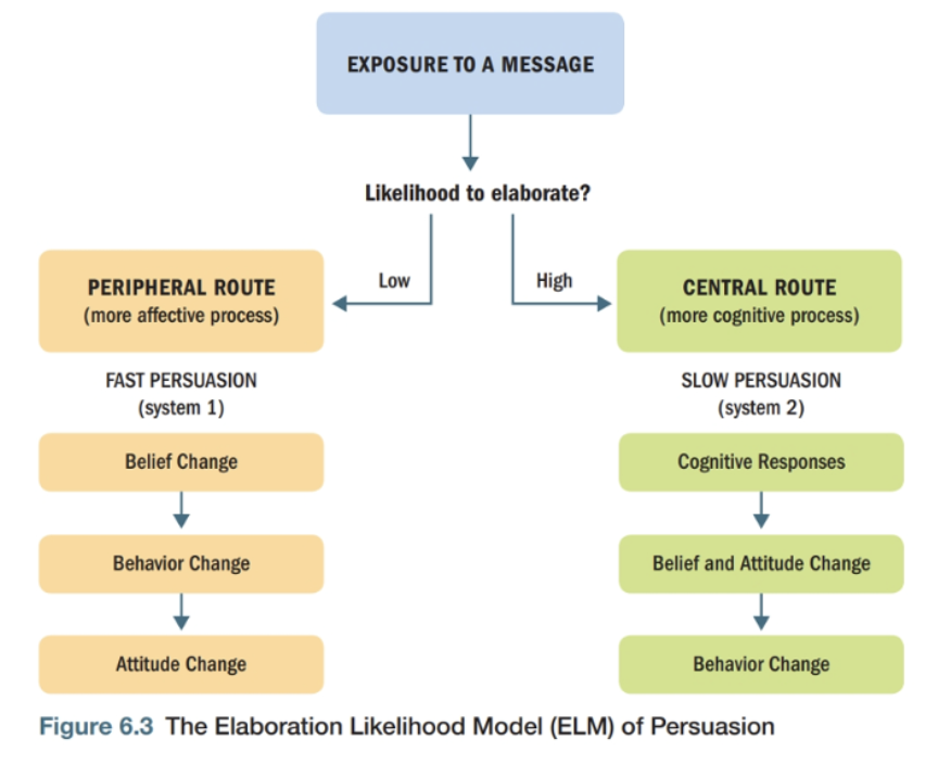 <ul><li><p><span style="background-color: transparent;">The <strong><em>ELM </em></strong>assumes that once a consumer receives a message, he or she begins to process it.</span></p></li><li><p><span style="background-color: transparent;">Depending on the personal relevance of this information, one of two routes to persuasion will be followed.</span></p></li><li><p><span style="background-color: transparent;">The routes are as follows:</span></p><ul><li><p><span style="background-color: transparent;">Under conditions of <strong>high involvement</strong>, the consumer takes the <strong><em>central route </em></strong>to persuasion.</span></p></li><li><p><span style="background-color: transparent;">Under conditions of <strong>low involvement</strong>, a <strong><em>peripheral route </em></strong>is taken.</span></p></li></ul></li></ul><p></p>