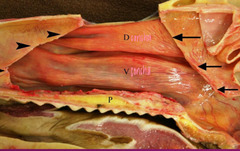 <p>What is different here?</p>