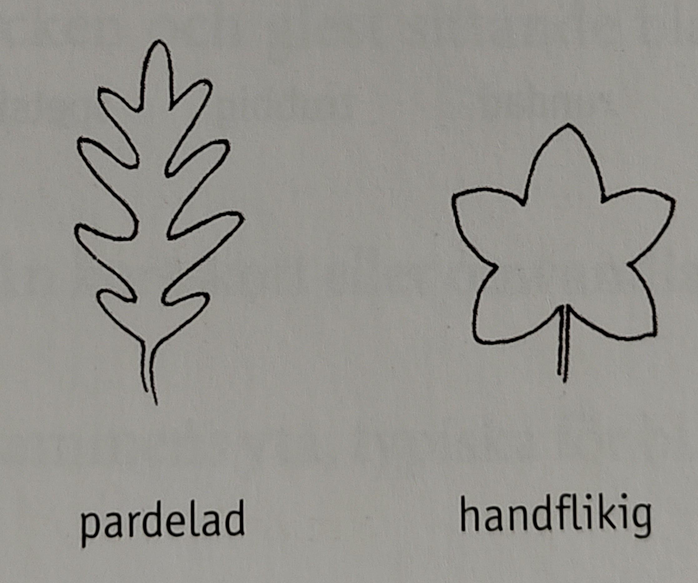 <p></p>