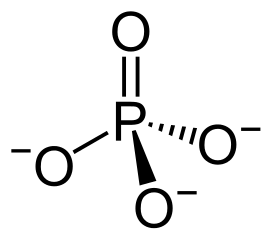 <p>PO<sub>4</sub><sup>3-</sup></p>