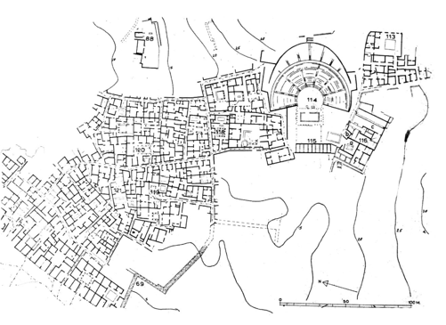 term image